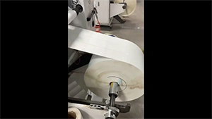 Self-Adhesive Label Production